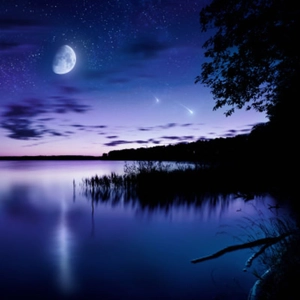 Twilight Woods Fragrance