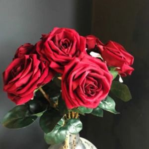 Velvet Rose and Oud Fragrance