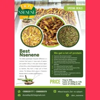 Grasshopper