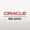 Oracle Big Data