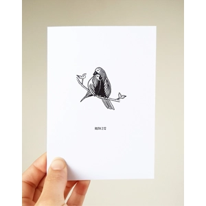 Bible Verse Ruth 2 Verse 12 Geeetings Card Illustrated Birds Wings Scripture