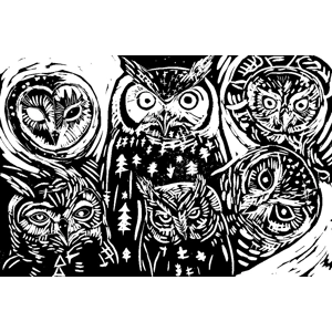 A Whisper of Owls