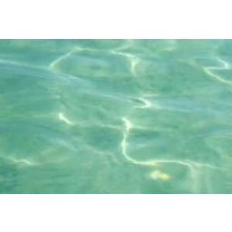 Shallow Water