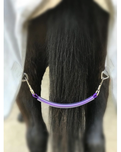 Purple Fillet String