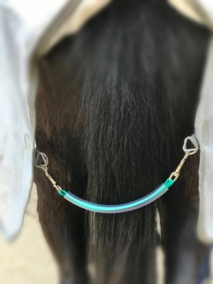 Emerald Fillet String