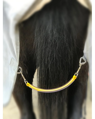 Yellow Fillet String