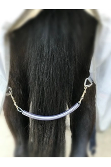 Silver Grey Fillet..