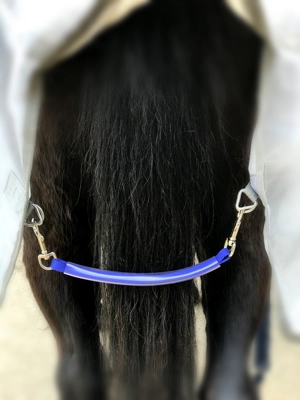 Royal Blue Fillet String