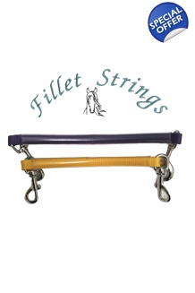 2 Fillet Strings f..