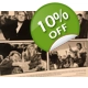 Madonna Evita 8x10 Press Photo Sheet Madonna Evita 8x10 Press Photo Sheet