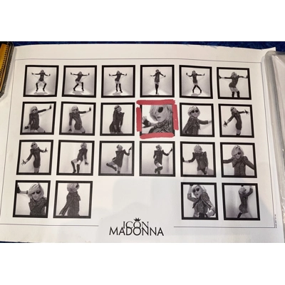Madonna Icon Poster Madonna Icon Poster