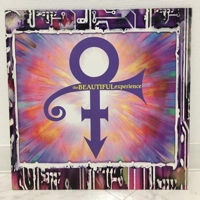 Prince the Beautiful Experience D..