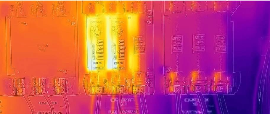 RealWear Thermal Camera MSX Enhanced image