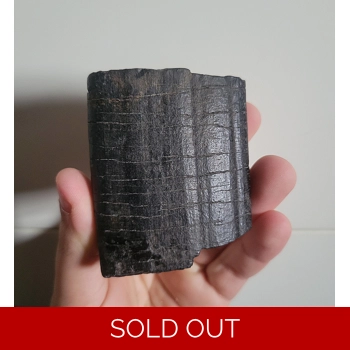 Rare Partial Giant..