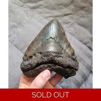 Stunning Rare Path..