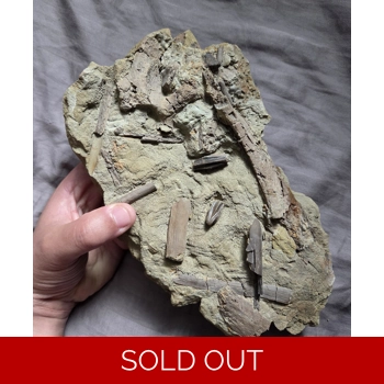 Handheld Hadrosaur..