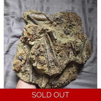 Handheld Hadrosaur..