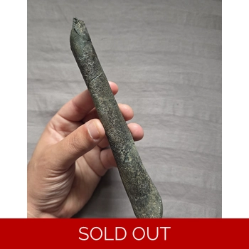 Rare Quality Fossi..