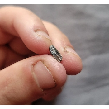 Great Quality Juve..