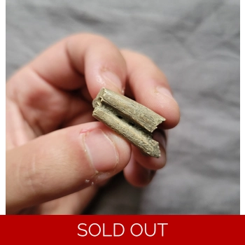 Rare Struthiominus..