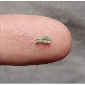 Very Rare Triassic..