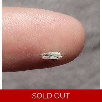 Very Rare Triassic..