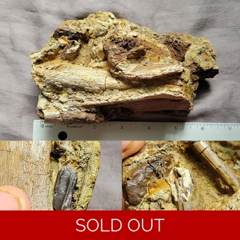 Handheld Hadrosaur..