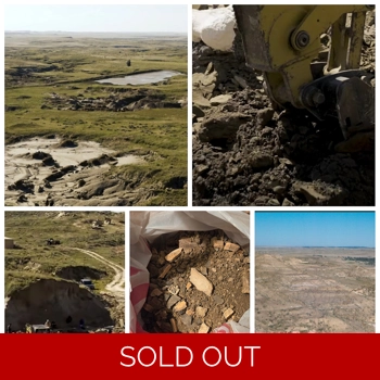 Real Dinosaur Foss..