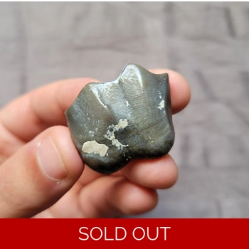 Rare Partial Titan..