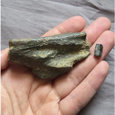 Very Rare Nanotyrannus/Juvenile T-Rex Jaw Skull Bone Fossil Theropod Dinosaur Very Rare Nanotyrannus/Juvenile T-Rex Jaw Skull Bone Fossil Theropod Dinosaur