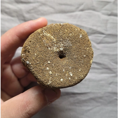 Rare Pliosaur Sp Vertebra Bone Fossil From The Uk Jurassic Kimmeridge Clay Rare Pliosaur Sp Vertebra Bone Fossil From The Uk Jurassic Kimmeridge Clay