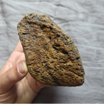 Rare Colossal Liop..