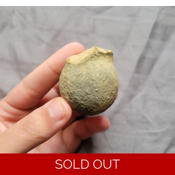 Rare Dinosaur Age ..