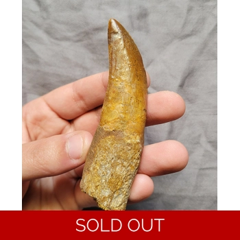 Large Rare Near 4 ..