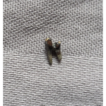 Very Rare Dinosaur..