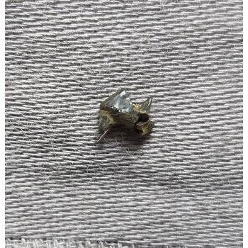 Very Rare Dinosaur..