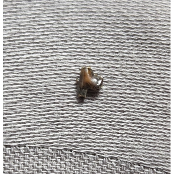 Very Rare Dinosaur..