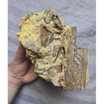 Handheld Hadrosaur..