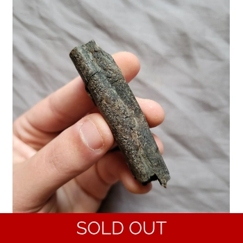 Rare Quality Gorgo..