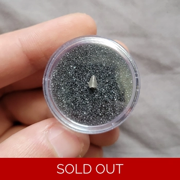 Ultra Rare Aetosau..