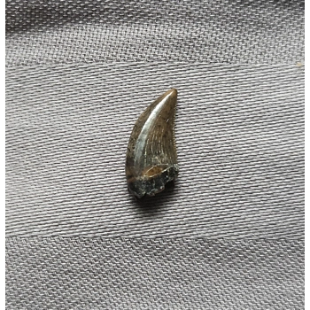 Rare Museum Qualit..