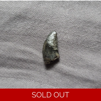 Rare Old Museum Dr..