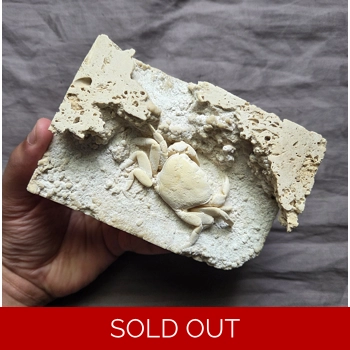 Rare Museum Qualit..