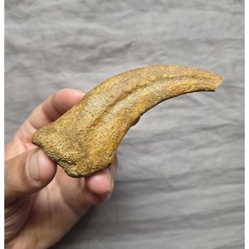 Ultra Rare Real Sp..