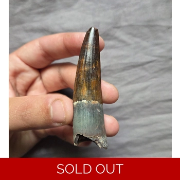 Rare Colorful Gem ..