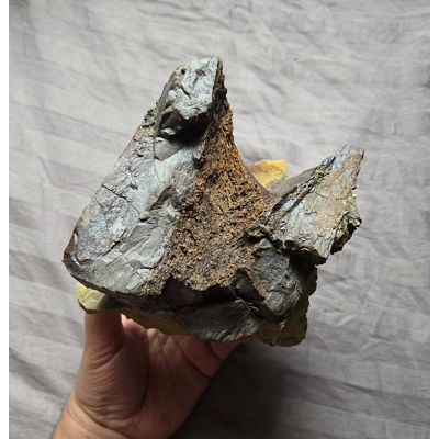 Rare Huge Tyrannosaurus Rex T-Rex Leg Bone Chunk Fossil Matrix Display Dinosaur Rare Huge Tyrannosaurus Rex T-Rex Leg Bone Chunk Fossil Matrix Display Dinosaur