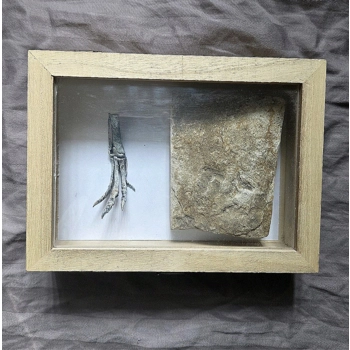 Very Rare Museum G..