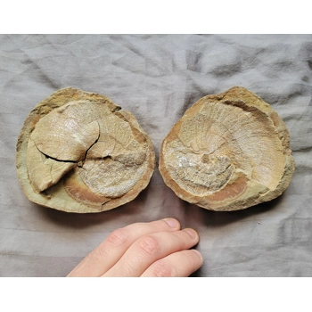 Very Rare Gem Scap..