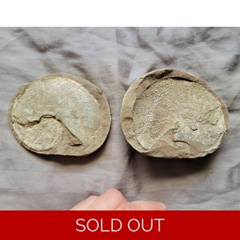 Very Rare Gem Scap..