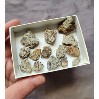 Rare Cretaceous Age Shark Teeth Micro Fossil Tooth Kit From The UK Rare Cretaceous Age Shark Teeth Micro Fossil Tooth Kit From The UK